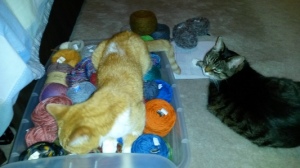Hazel inspects the yarn while Fini points to the yarn entry on my spreadsheet.